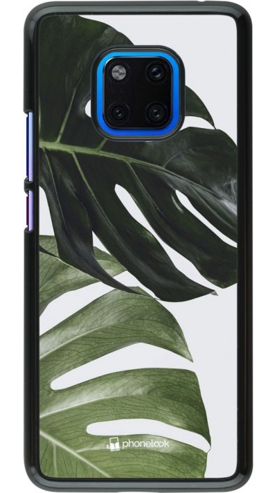 Hülle Huawei Mate 20 Pro - Monstera Plant