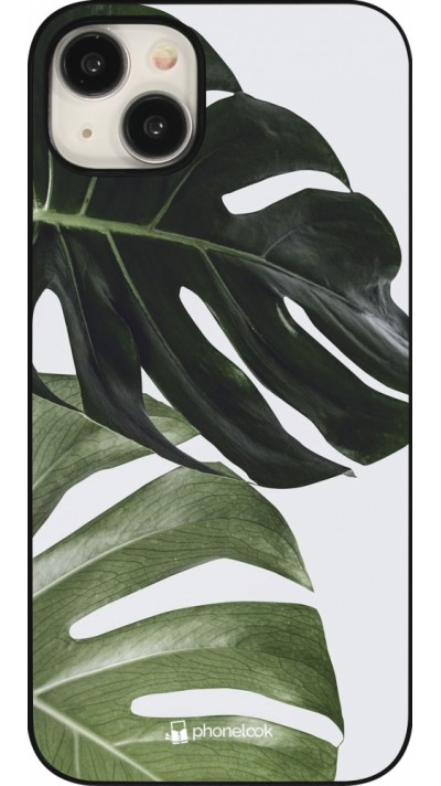 iPhone 15 Plus Case Hülle - Monstera Plant