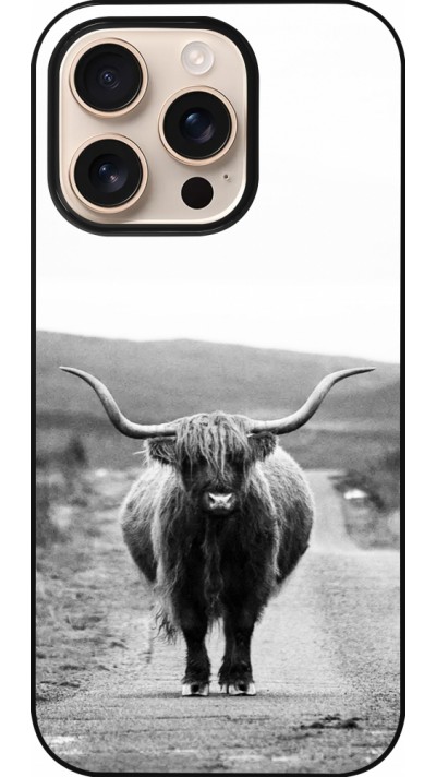 iPhone 16 Pro Case Hülle - Highland cattle