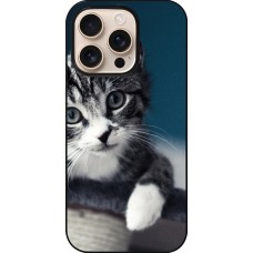 iPhone 16 Pro Case Hülle - Meow 23