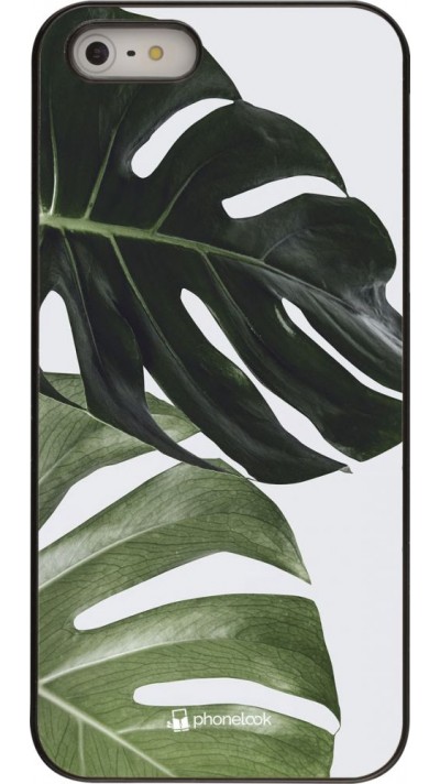 Hülle iPhone 5/5s / SE (2016) - Monstera Plant