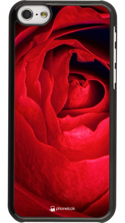 Hülle iPhone 5c - Valentine 2022 Rose