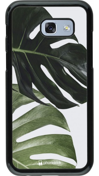 Coque Samsung Galaxy A5 (2017) - Monstera Plant