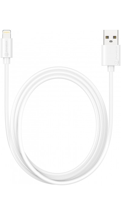 iPhone Lightning Kabel USB (1 m) - PhoneLook - Weiss